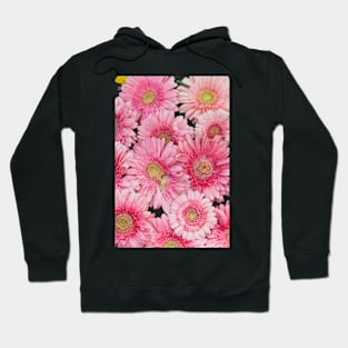 Pink Gerberas Hoodie